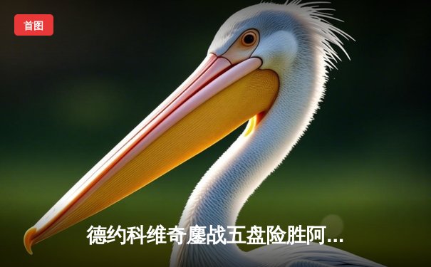 德约科维奇鏖战五盘险胜阿尔卡拉斯 第24座大满贯近在咫尺