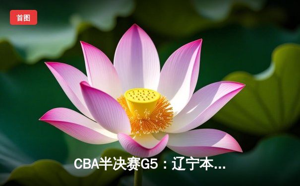 CBA半决赛G5：辽宁本钢加时逆转广东宏远 赵继伟35+9+6率队挺进总决赛